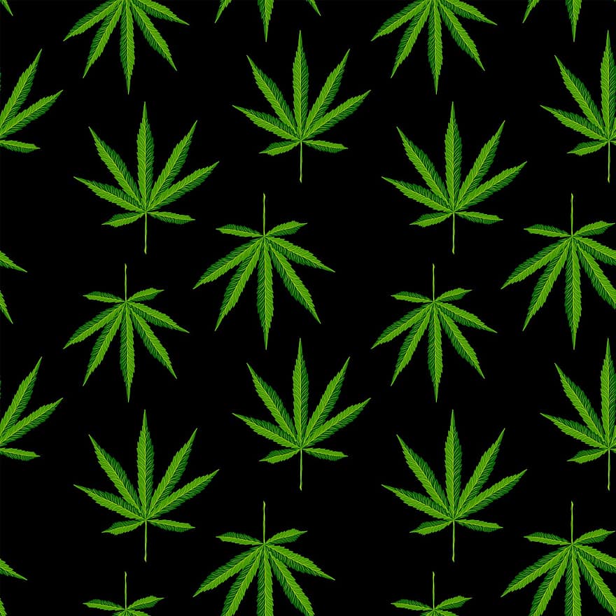 marihuana, mønster, baggrund, blad, plante, cannabis, ukrudtsplante, urt, gryde, hamp, sømløs