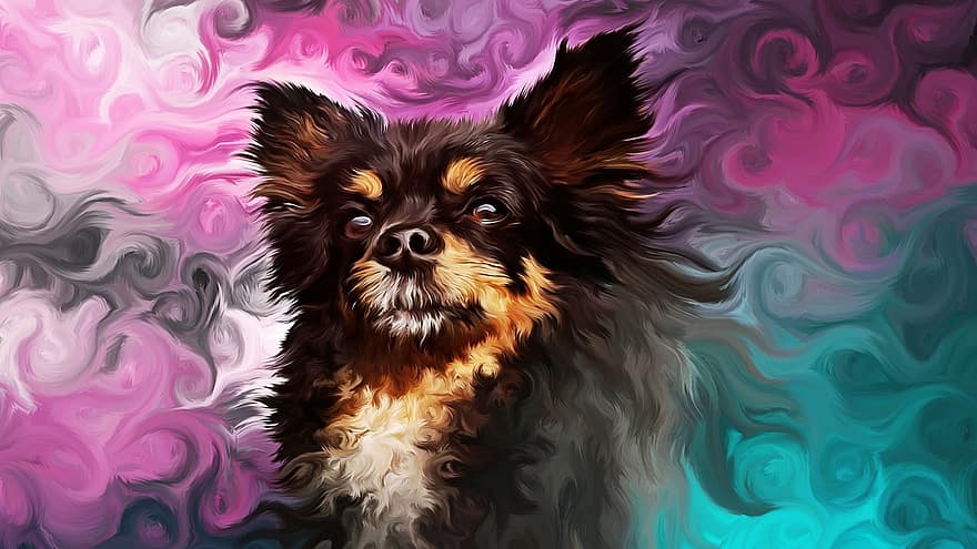 šuo, menas, teptukų dažymas, gyvūnas, spalvinga, kailiai, violetinė