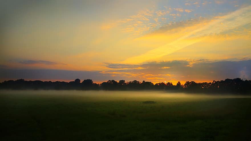 lever du soleil, brouillard, paysage, forêt, ciel, brume, des nuages, ambiance, la nature, Matin