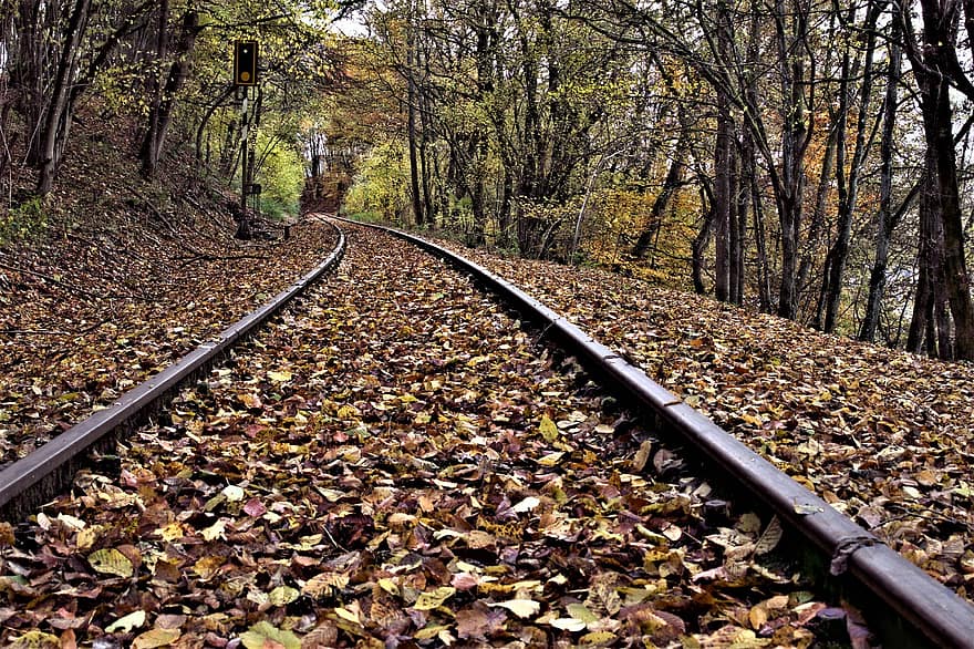 ruduo, pobūdį, geležinkelio, kelionė, žvalgymas, lauke, rudenį