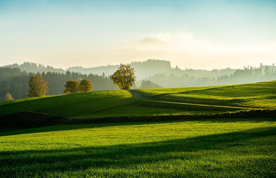 Gras, Felder, Hügel, Wiesen, Wiese, Grün, Weiden, Landschaft, Natur, Österreich