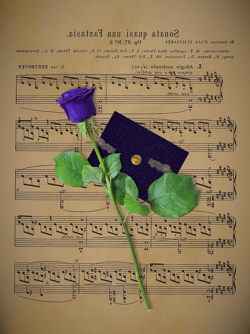 музики, класичний, Бетховен, композитор, соната, троянда, місячне світло, фортепіано, історичний, гарний, Вітальна листівка