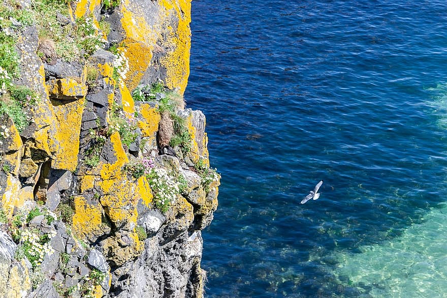 természet, tenger, utazás, madár, óceán, szabadban, Antrim, Carrick-a-Rede, szikla, Észak-Írország