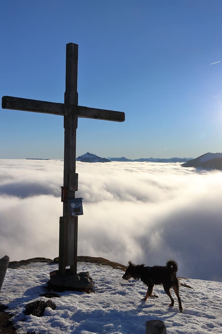 cimeira cruz, névoa, montanha, cimeira, neve, cão