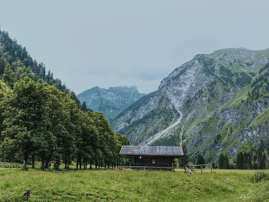 cabină, căsuță, colibă, munţi, alpin, Alpi, copaci, iarbă, vale, luncă, camp