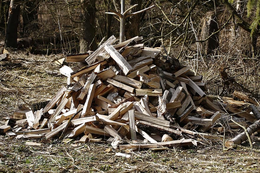 drewno, dzienniki, pień, drewno kominkowe, Kawałki Drewna, woodpile, drewniany, drzewny, leśnictwo, tekstura, wylesianie