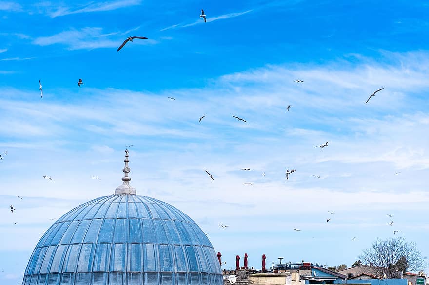 Mosque, Istanbul, Sky, Seagulls, Birds, Flying, Dome, Building, Turkey, Gulls, Clouds