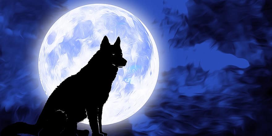 hund, kjæledyr, dyr, måne, natt, himmel, fullmåne, måneskinn, mørk, astronomi, univers