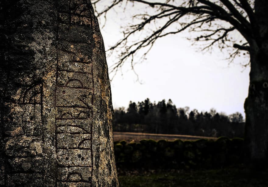 runestone, runos, užrašai, vikingo amžius, vikingai, personažai, Švedija, akmuo, fornnordiskt