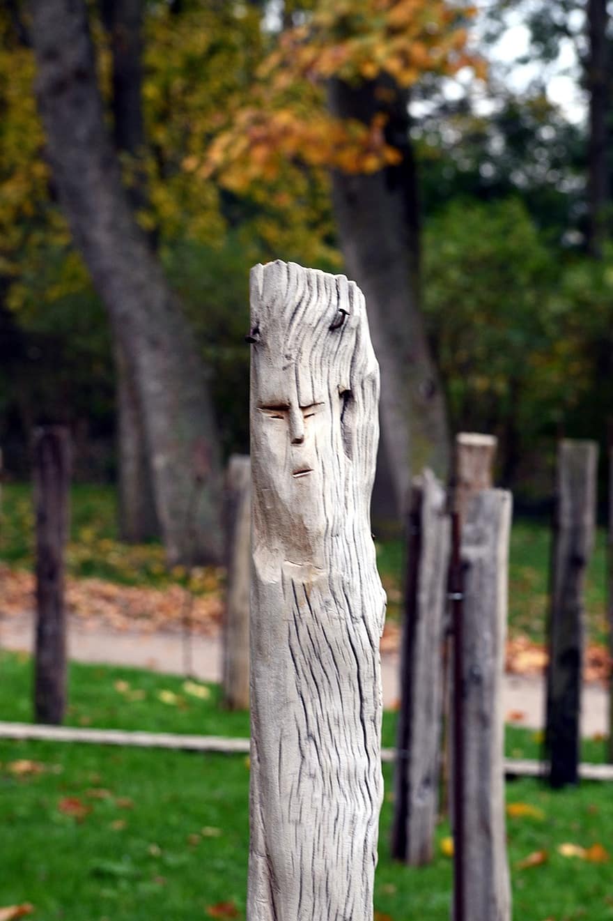 troncos, escultura em madeira, madeira, natureza, Faces Of War