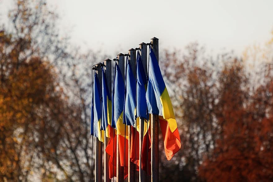 arboles, banderas, nacional, rumano, al aire libre, cielo, parque