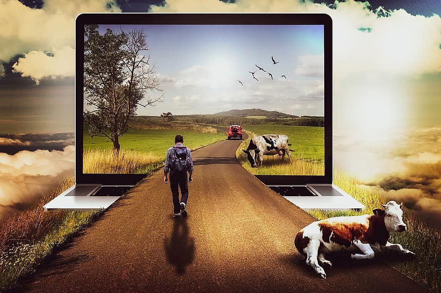 laptop, weg, fantasie, koeien, man, reiziger, scherm, landelijk, platteland, natuur, wolken