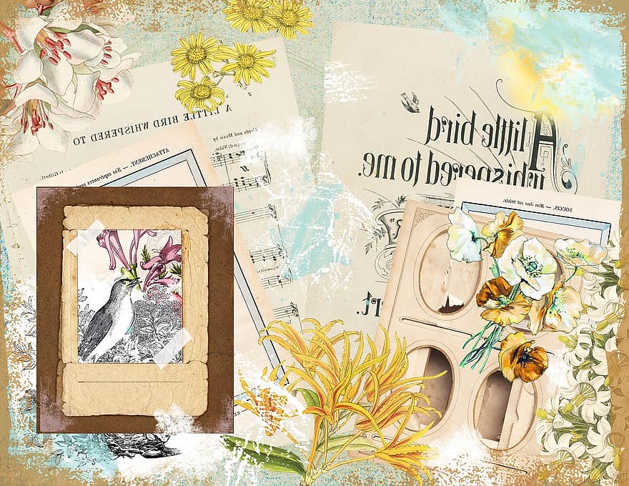 fugl, blomst, floral, scrapbooking, papir, Musikkpapir, vår, Kunst, design, illustrasjon, bakgrunn