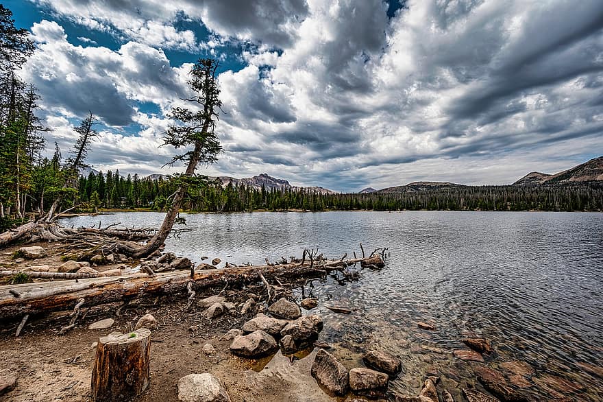 Lake, Tree, Mountains, High Altitude, Uinta, Nature, water, forest, landscape, mountain, summer