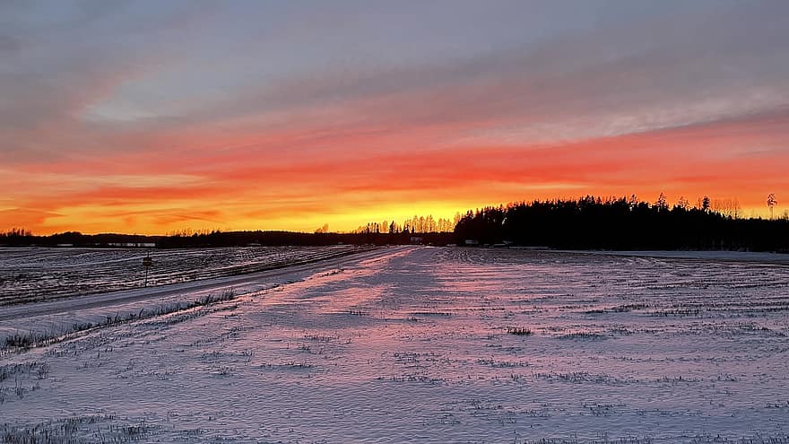 зима, Восход, Финляндия, лес, поле, пейзаж, рассвет, заход солнца, смеркаться, время года, снег