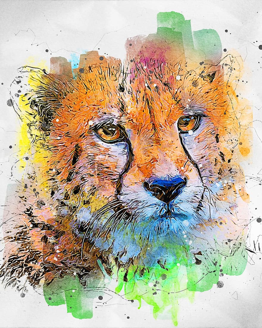 gepard, vill, katt, rovdyret, dyr, natur, dyreliv, pattedyr, hastighet, jeger, portrett