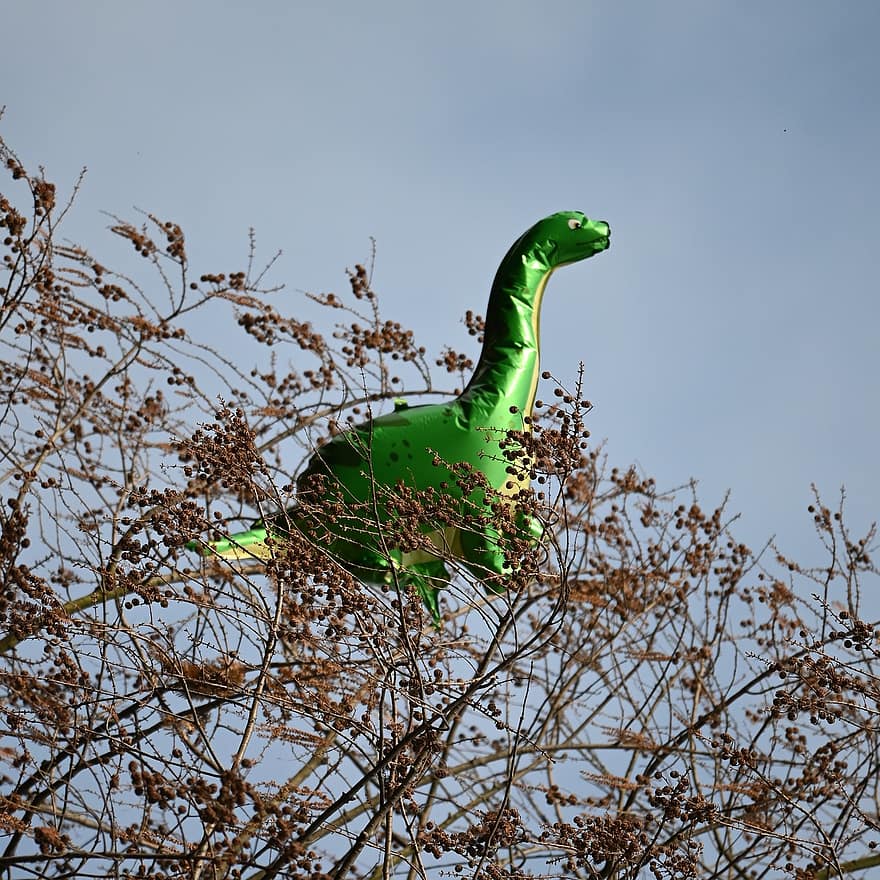 dinozaur, balon, drzewo, wąż, gad, zwierzęta na wolności, żmija, trawa, zielony kolor, trujący, zbliżenie