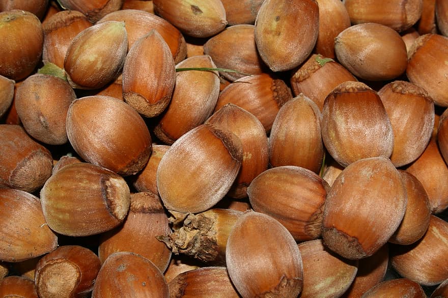 Hazelnuts, Nuts, Close Up, close-up, food, freshness, backgrounds, healthy eating, fruit, organic, heap