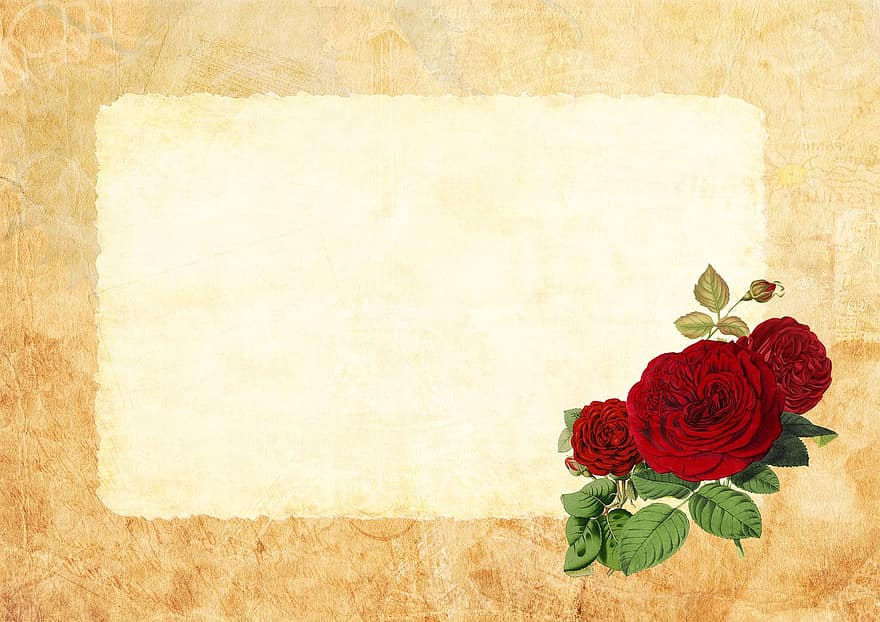 Valentýn, růže, pohlednice, Pozadí, psací papír, dopis, milovat, koláž, scrapbooking, romantický, narozeniny