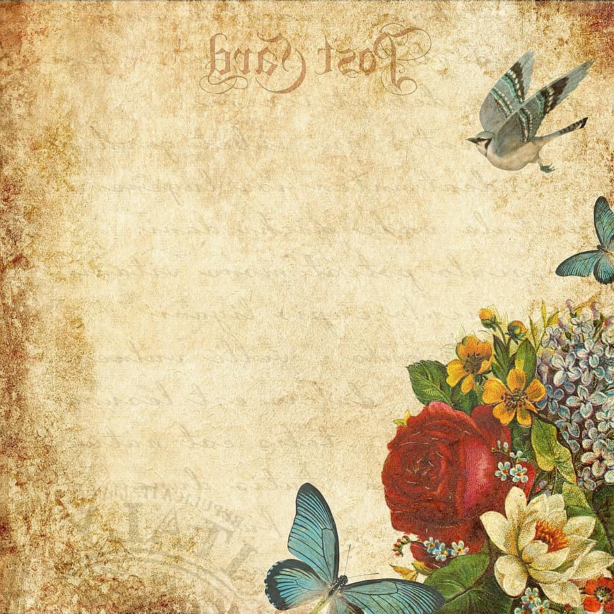 vintage, flores, borboletas, romântico, scrapbooking, escrito a mão, texto, cartão postal, ramalhete, vitoriano, velho