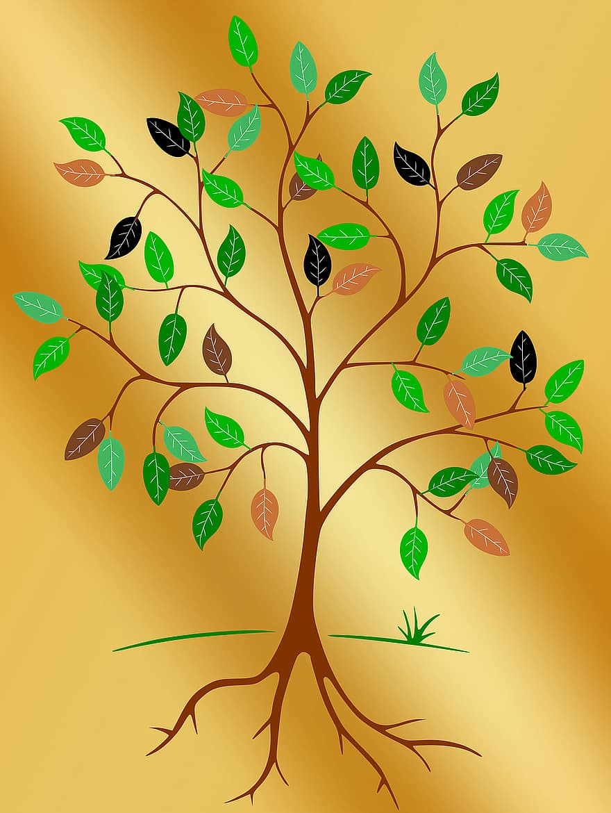 árbol, raíz, hojas, contorno, contornos, verde