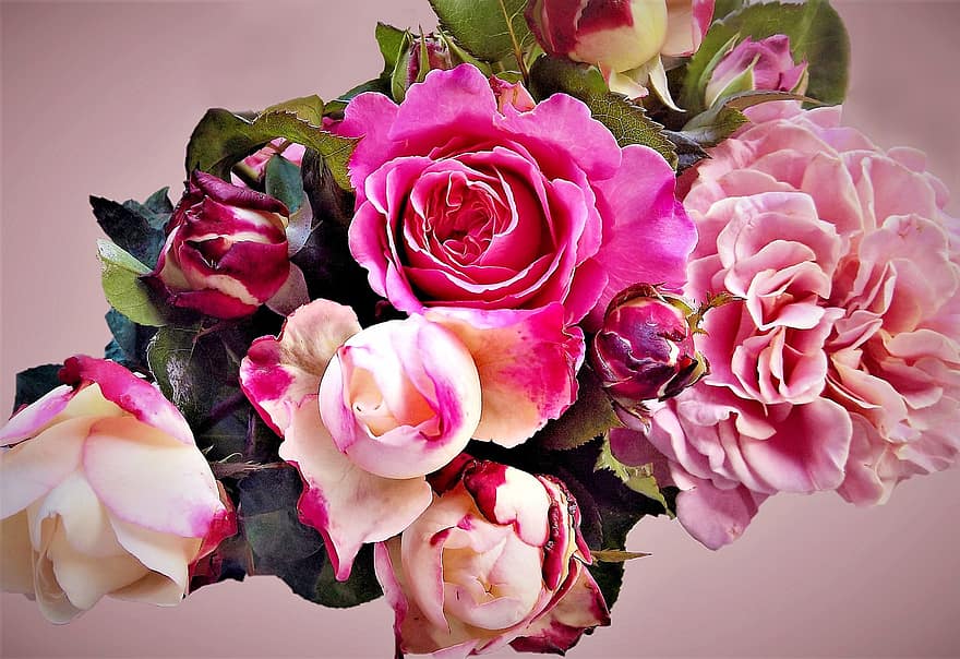 Roses, Flowers, Bouquet Of Roses, Floral Arrangement