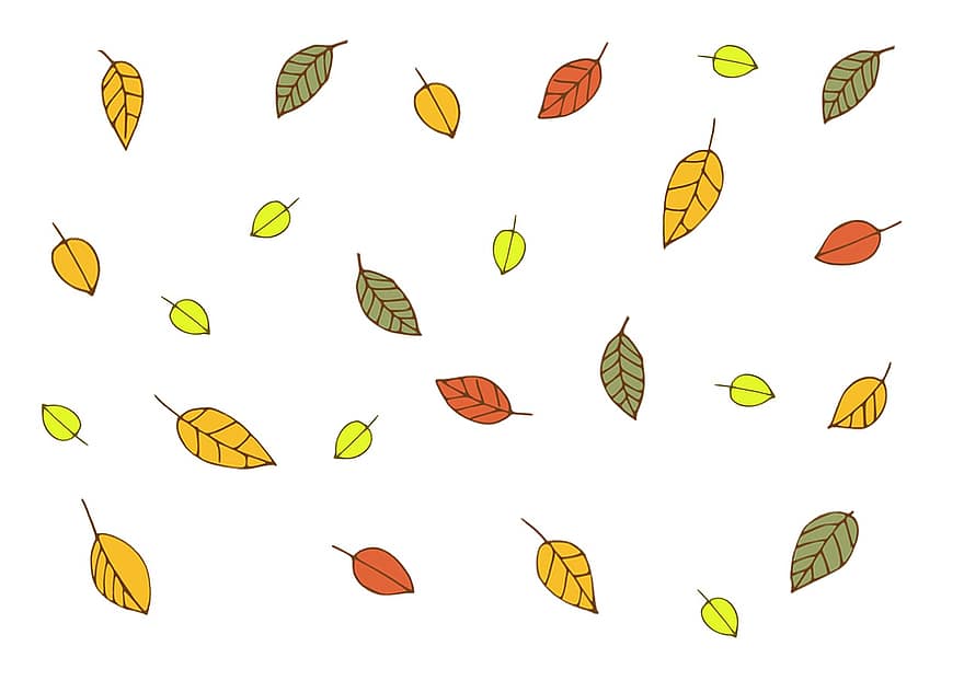 blader, løvverk, falle, natur, vind, fargerik, mønster