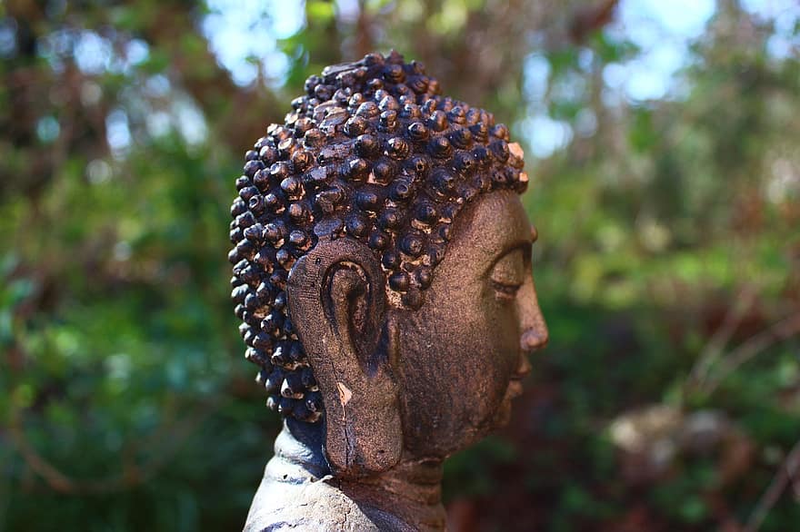 meditação, Buda, zen, relaxamento, ioga, orelha, budismo, religião, estátua, espiritualidade, culturas