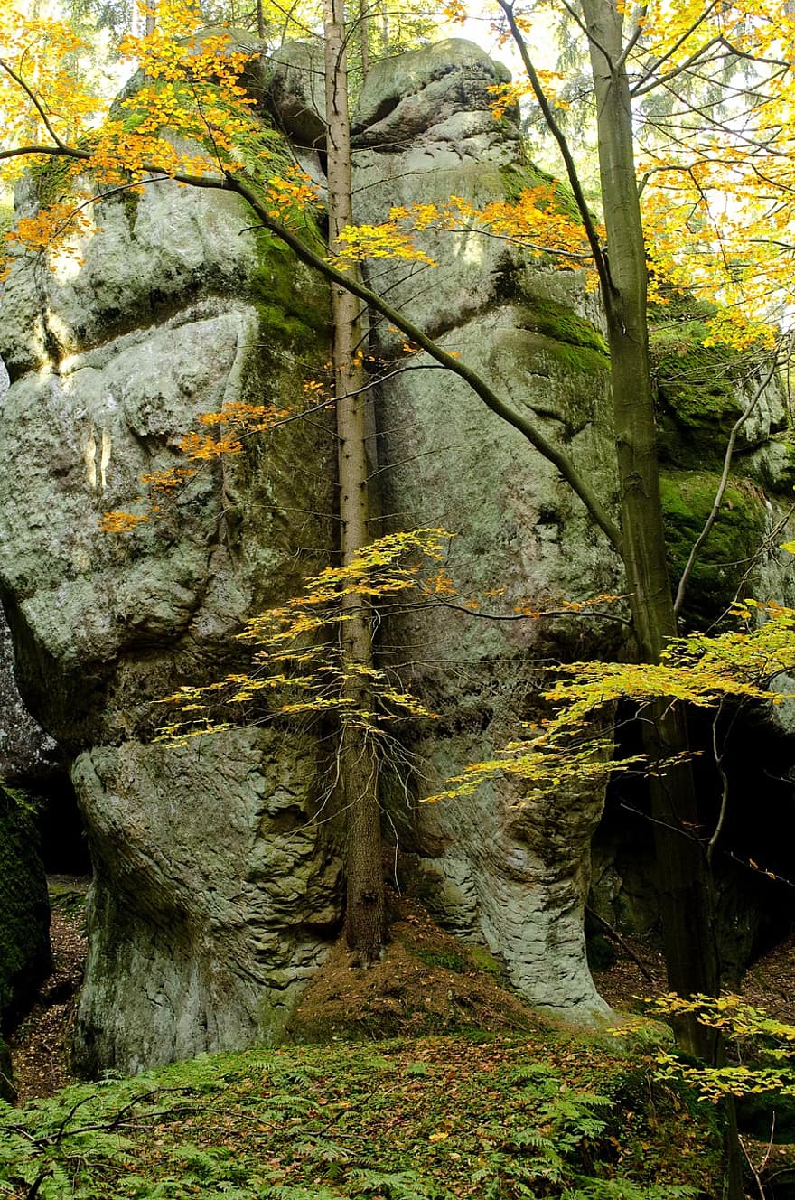 岩石層、ボルダー、森林、秋、自然