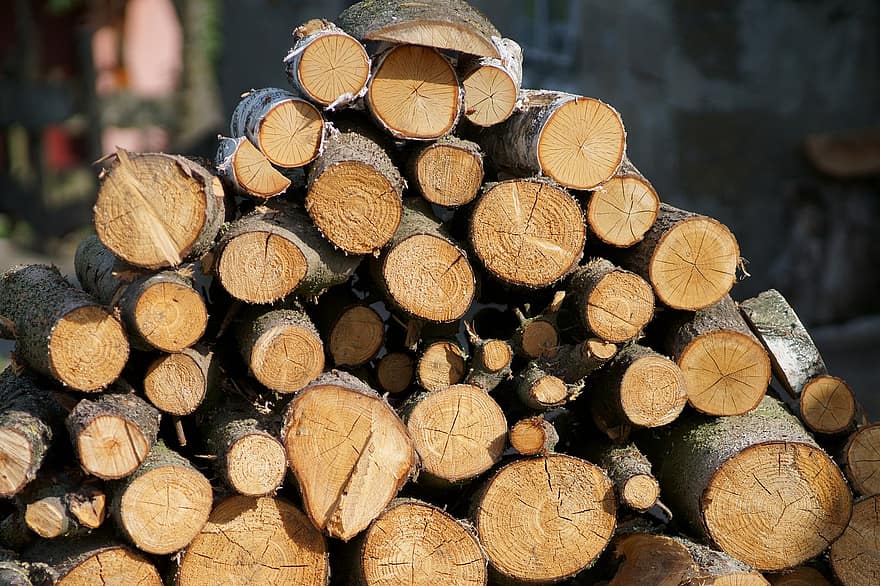 madeira, estrutura de madeira, cortar madeira, material de madeira, cortar árvore, pilha de madeira