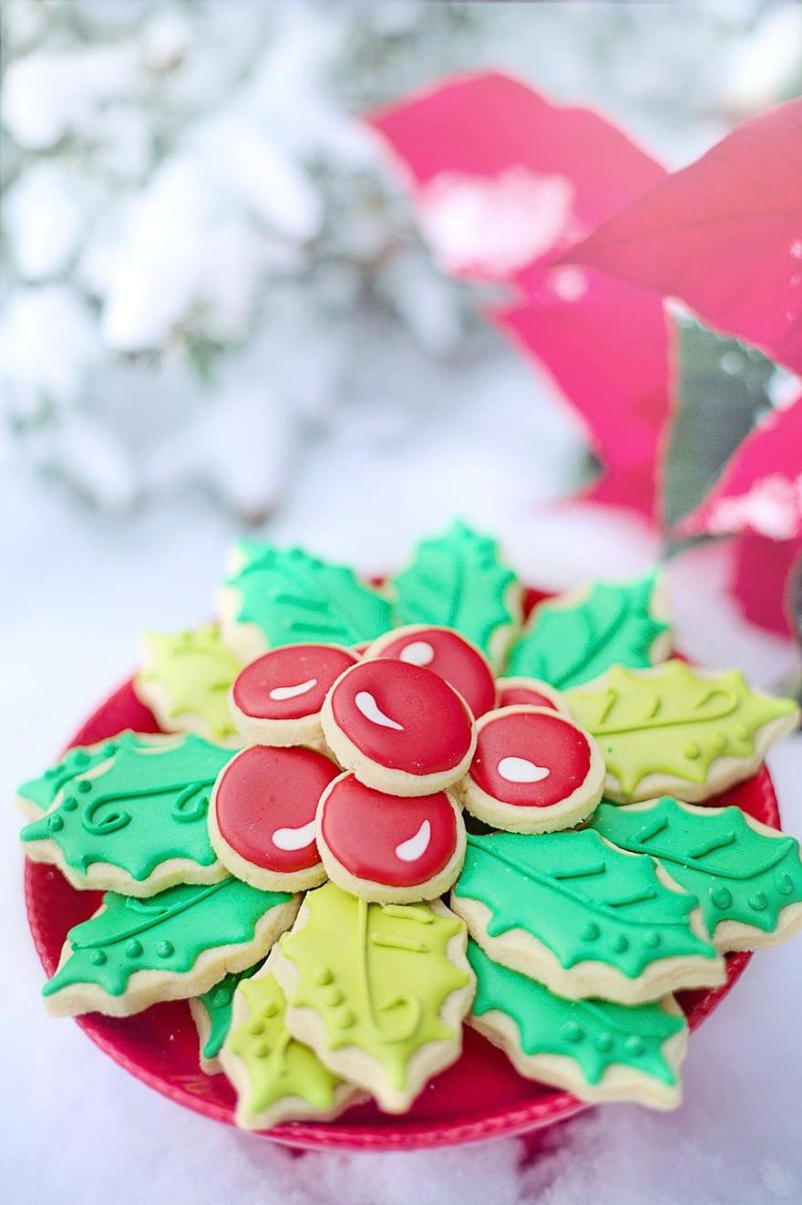 Χριστουγεννιάτικα μπισκότα, Royal Icing Cookies, διακοσμημένα μπισκότα, Χριστούγεννα μεταχειρίζεται, γλυκα, φαγητό, επιδόρπιο, διακόσμηση, γλυκό φαγητό, εποχή, ψημένο