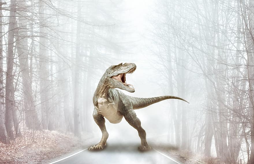t-Rex, dinoszaurusz, őskori, út, országút, erdő, fák, veszélyes, dino, háttér