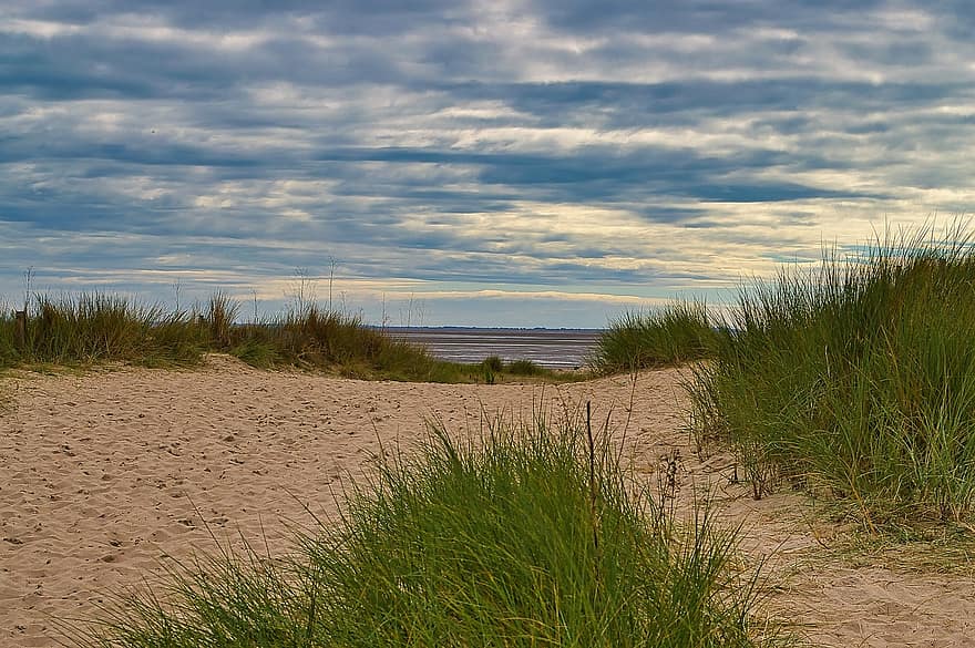 sand, strand, mont saint michel, græs, landskab, Normandiet, Frankrig