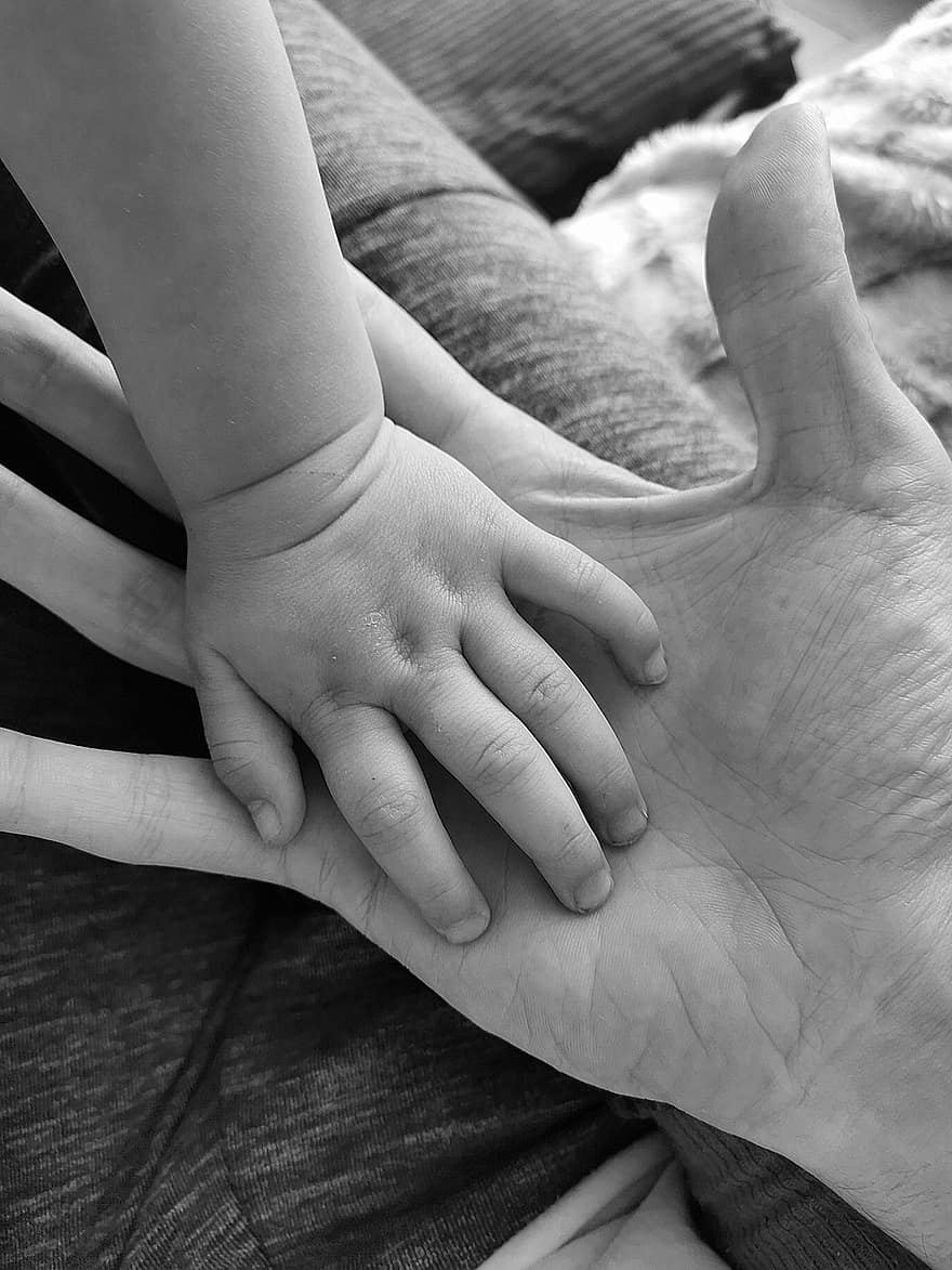 handen, liefde, houden, hand-, kind, pa, baby, kleuter, zwart en wit, schattig, aanraken