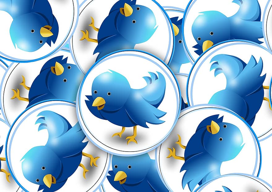 Twitter, logotipas, chirpas, Čivināšana, chirrupas, paukštis, santrauka