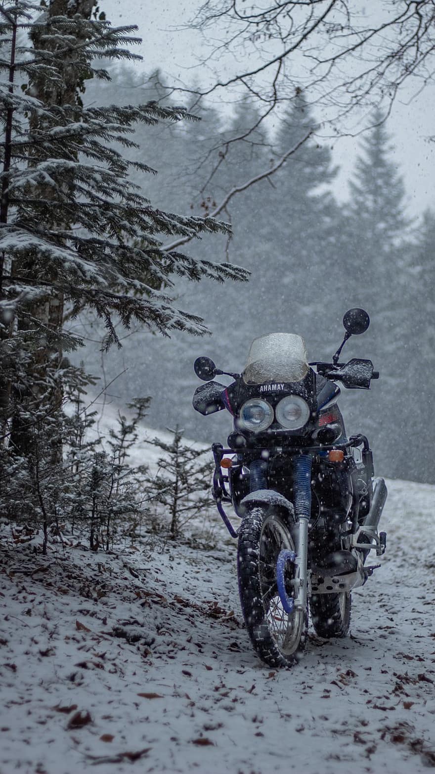 motorkerékpár, téli, természet, erdő, kaland, yamaha, motorbicikli, extrém sportok, Sport, hó, sebesség