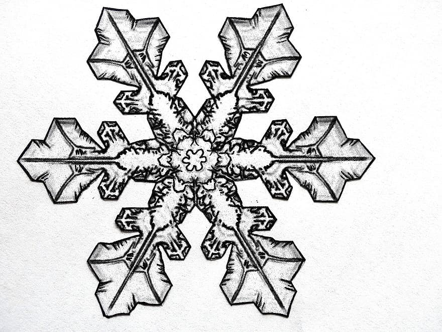 рисунка с молив, снежинка, леден кристал, абстрактен, чертеж, Линейна скица, фигура, рисувана скица