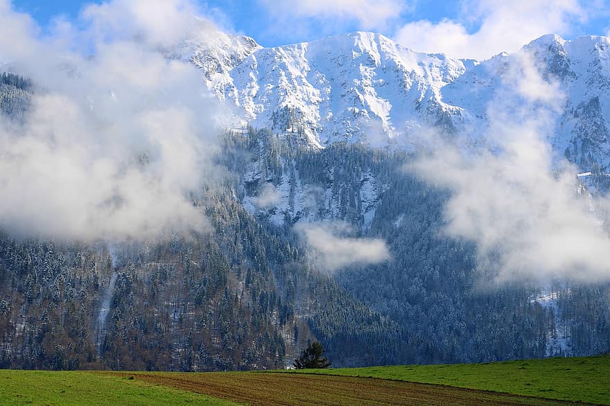 hegyek, felhők, mezők, Gantrisch Natúrpark, fák, Alpok, alpesi, bernese oberland, fa vonal, természet, tájkép