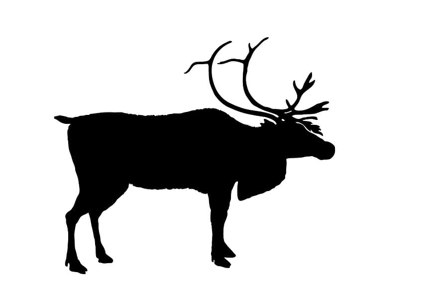 renne, noir, silhouette, cerf, Noël, animal, conception, symbole, la nature, dessin, sauvage