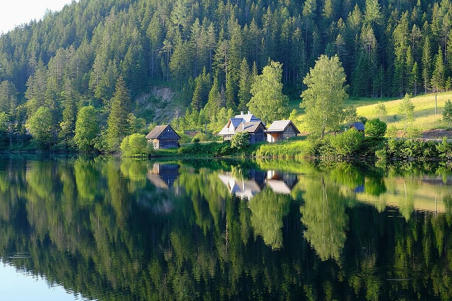 ežeras, ežero trobelė, miškas, medžiai, kabina, kotedžas, namelis, atspindys, atspindėjimas, pobūdį