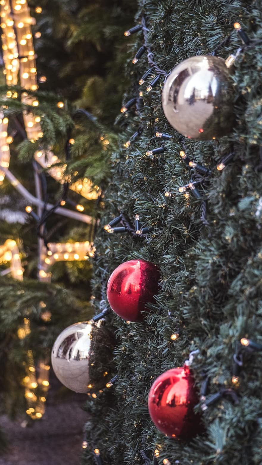 Boże Narodzenie, zimowy, dekoracja, czerwony, żółty, światła, drzewo, uroczystość, pora roku, świąteczna ozdoba, świąteczne dekoracje
