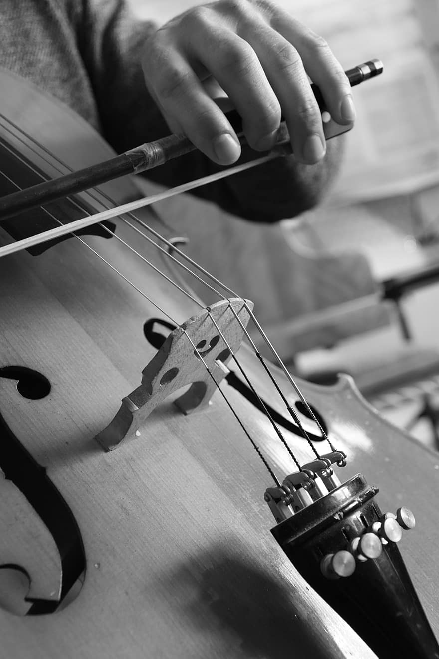 cello, musik, musik instrument, klassisk musik, stränginstrument