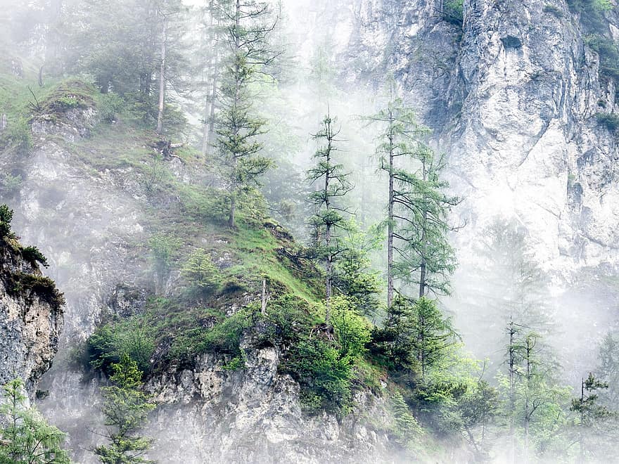almsee, Austria, mgła, grünau im almtal, salzkammergut, góry, Alpy, Natura, las, drzewo, krajobraz