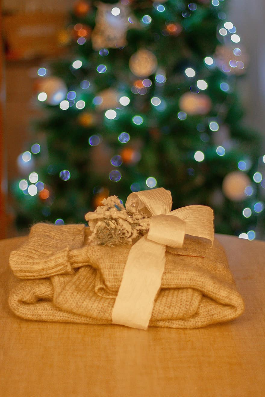 presente, suéter, roupas quentes, lã, estacionar, ano Novo, árvore de Natal, Natal