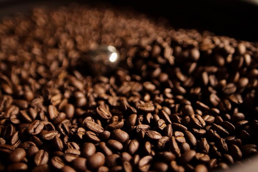 káva, fazole, pražení, kofein, opečený, aroma, napít se, espresso, povzbuzující, pohár, nápoj