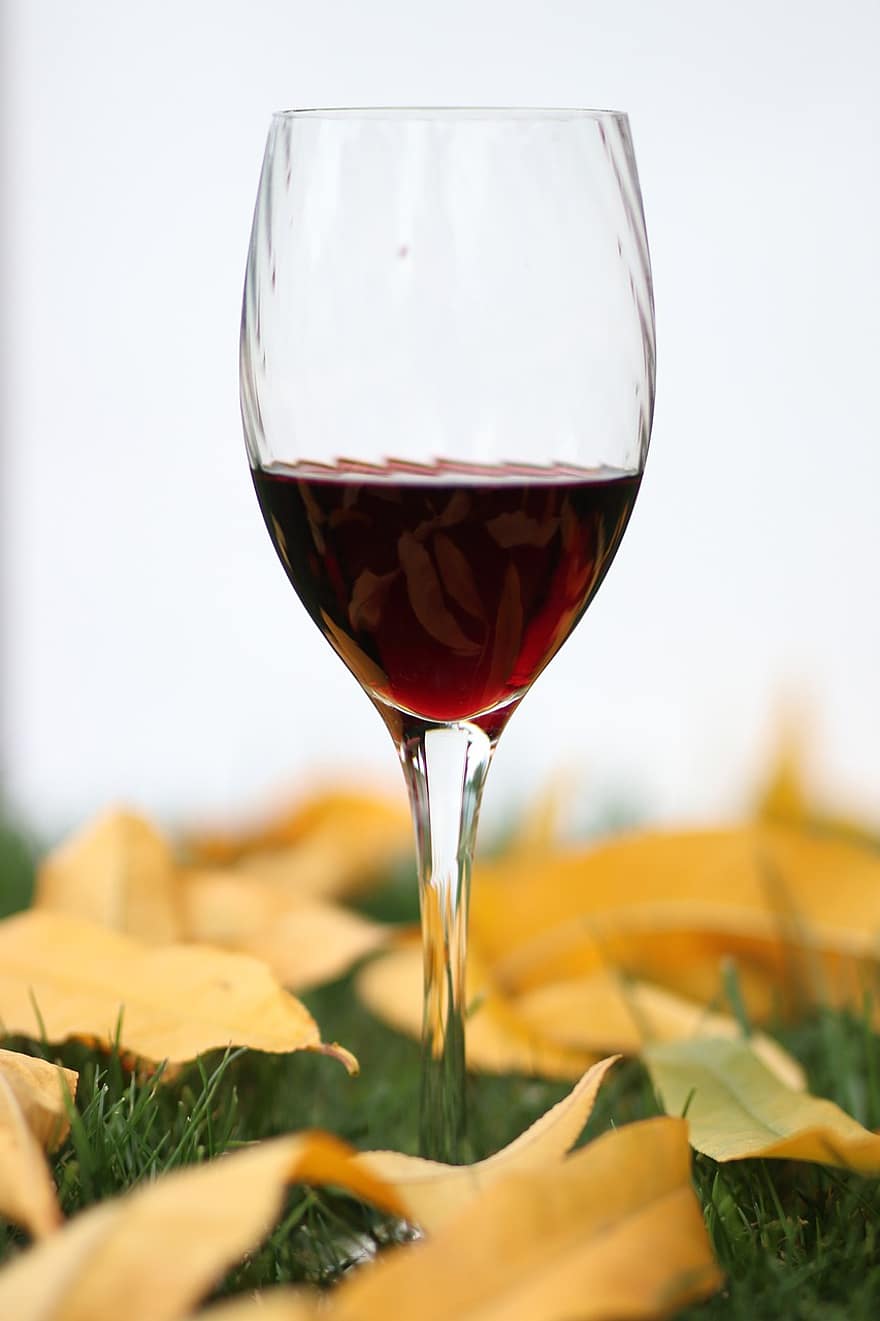 vino rosso, bicchiere di vino, bere, alcool, le foglie, bicchiere, fogliame, celebrare, alcolizzato, diletto, cena