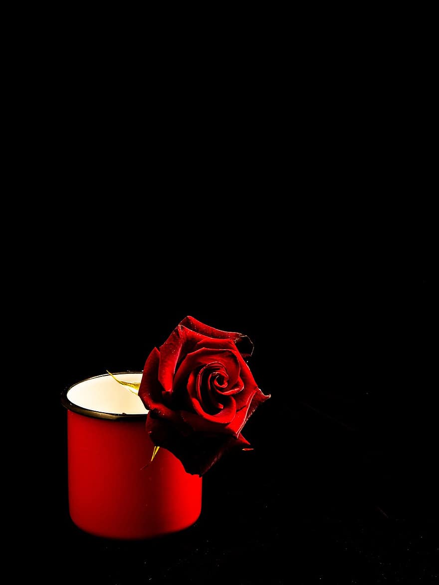 Róża, Puchar, martwa natura, czerwona róża, czerwony kwiat, kwiat, ciemny, romantyk, kwiaty, czerwony