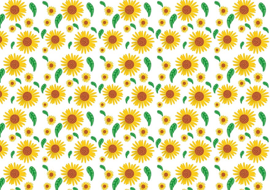 bunga matahari, pola, bunga, musim panas, Latar Belakang, alam, Desain, dekorasi, taman, dekoratif, abstrak