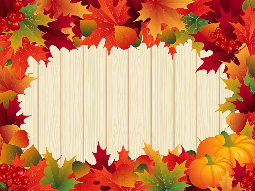 ucapan syukur, perbatasan ucapan syukur, Desain, jatuh, berterimakasih, dekoratif, abstrak, November, musim, panen, alam