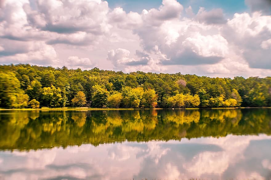 Lake, Nature, Reflection, Trees, Row, Water, Autumn, Fall, Forest, Clouds, Sky